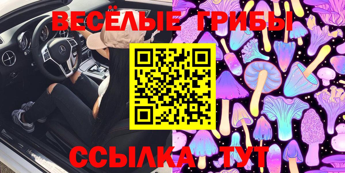 Псилоцибиновые грибы Psilocybine cubensis Рубцовск
